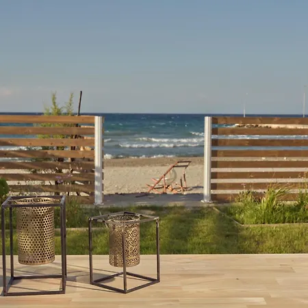 Bright Coast Superior *