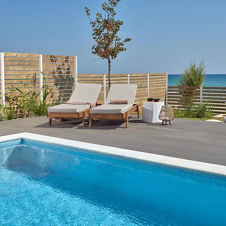 Bright Coast Superior *